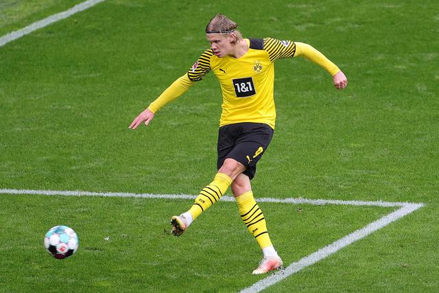 会员的数量 会员的数量